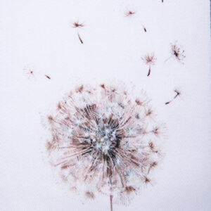 Dandelion Cocktail Napkin (Set of 4)