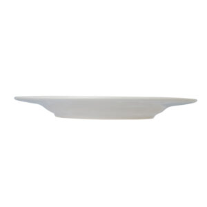 Essentials Dinner Plate (Set of 4), Green