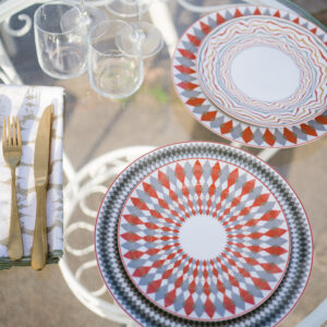 Evolution Dinner Plate Terracota ( Set of 4)