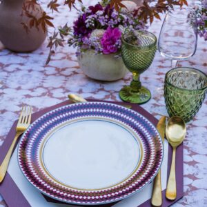 Evolution Dinner Plate Red ( Set of 4)